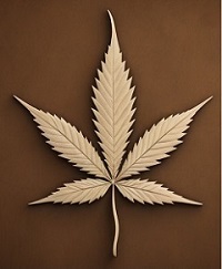 the weed store icon